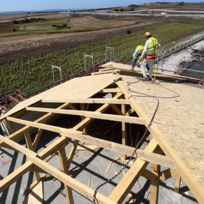 WhatsApp Image 2025-07-24 at 14.20.26 (3)